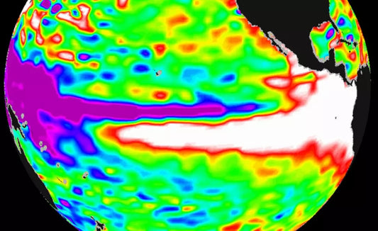 Demystifying El Niño: How It Shapes Weather and Impacts Marine Life