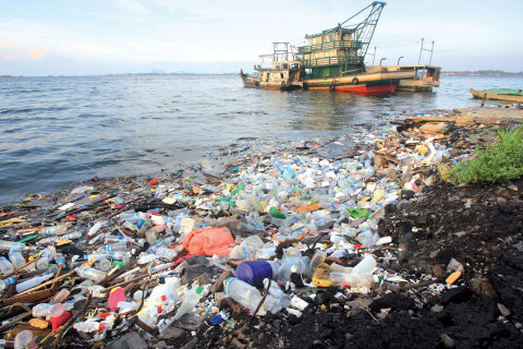 Effects of Microplastics on our Oceans